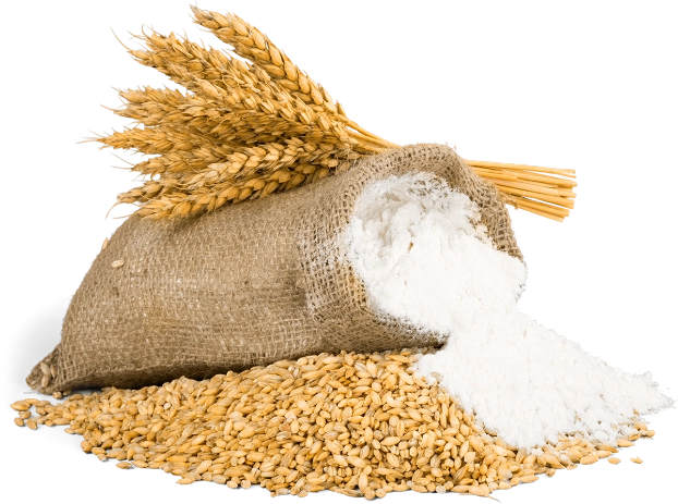 Hakkımızda